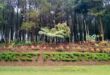 Lokasi Tempat Wisata Alam di Malang Hits Terbaru