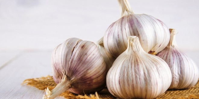 Manfaat Bawang Putih untuk Kesehatan Keajaiban Alami yang Harus Anda Ketahui