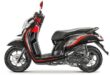 Spesifikasi Honda Scoopy 2019 Fitur, Keunggulan, Masih Layak Dibeli Tahun Ini